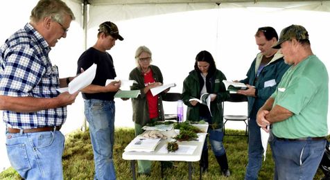 Maine Farm Days visitors get tips on identifying, removing weeds