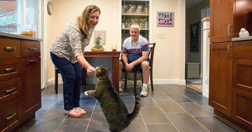 Lenders Shunned Risky Personal Loans. Now They’re Competing for Them.