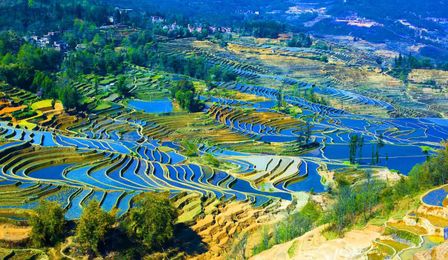 5 Rice Terraces in Asia You Have to See to Believe