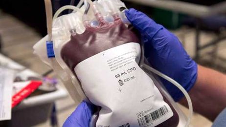 Gut bacteria could provide key to making 'universal' blood type 