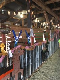 6 Things You’ll Only Recognize If You’ve Shown at the Fair