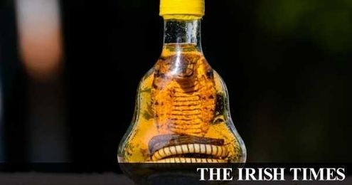 Beware the snake-oil merchants of alternative medicine