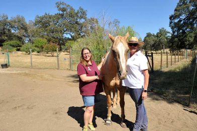 Healing with the rhythm of riding