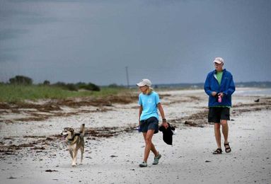 Taking your dog to Isle of Palms? It soon may cost you $10