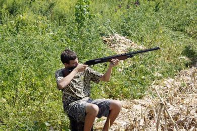 Outdoors: Hunters should execute proper safety and etiquette on dove hunts