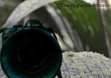 Humidity and Your Camera: Making a Dry Box in the Tropics