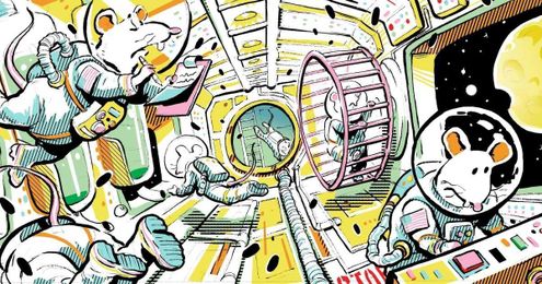 The scoop on how mouse poop might get humans to Mars