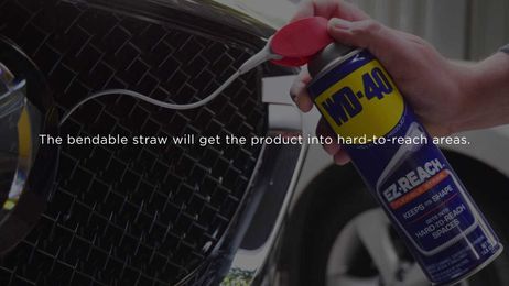 How To Prevent Lovebugs From Sticking To Your Car's Grille