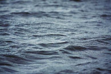 Panel wants more use of natural water-protection measures