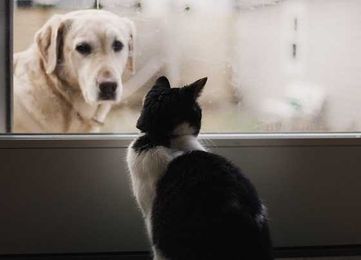 How Churches Enable Conditional Love