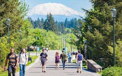 Plan to study engineering?