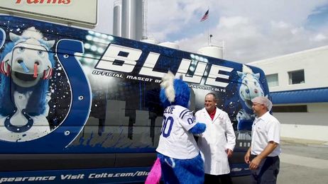 Discover how milk goes from FARM to CALF-eteria!