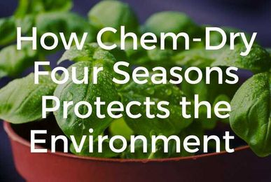How Chem-Dry Four Seasons Protects the Environment