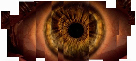 Why the Human Eye is the Window to AI in Healthcare
