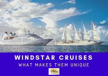 What Makes Them Unique