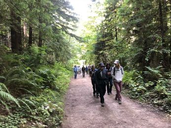 Redwoods Are Dealing With Climate Change Better Than You Might Expect