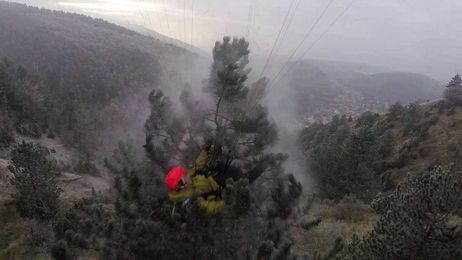 My first and hopefully last tree landing.