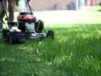 Touted the 'Uber of lawn care,' this app connects people with lawn care services