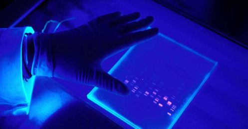 Why Your DNA Is Still Uncharted Territory