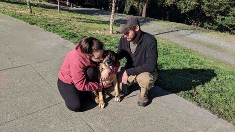 Couple reunited with dog, Jeep stolen from hospital parking lot