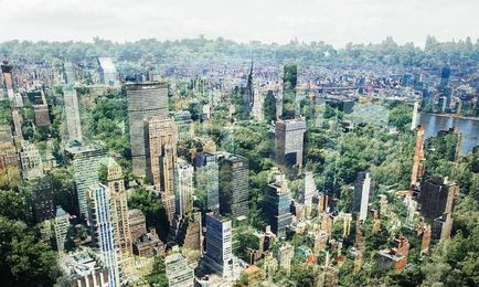 The Restorative Power of Trees