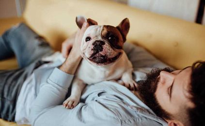 Furry Finances: 5 ways to care for your pets without overspending
