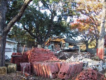 The Root of Your Tree’s Problem? Could be its roots!