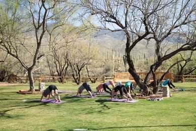 Top 5 Reasons to Visit the Tanque Verde Ranch This Fall