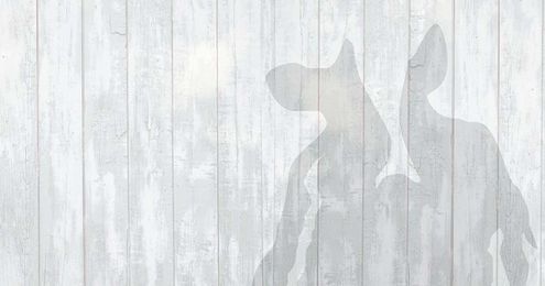 Find Ben & Jerry's ice cream or a scoop shop near you.