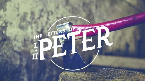 The Seed That Never Dies