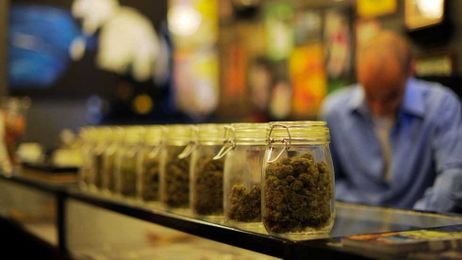 Red or blue makes little difference when it comes to the question of legalizing marijuana