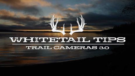 Whitetail 101: Whitetail 101 Tips Trail Cameras 3.0