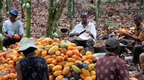 World hunger is on the rise, and better data on agriculture could fix that