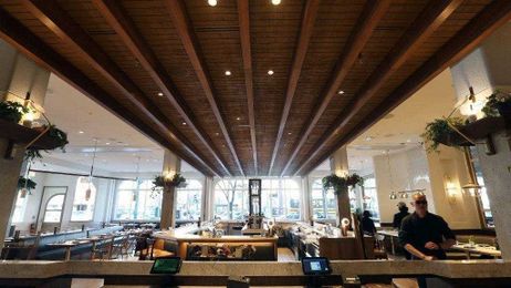 Are restaurants too loud? The ins and outs of restaurant acoustics
