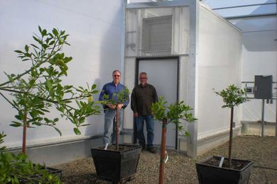 Who Let the Bugs Out? ATI Acts Quickly for Monrovia Nurseries