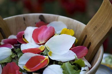 5 Facts You Probably didn’t know about flowers