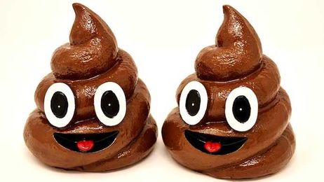 Fecal Transplants Prove One Man's Poop Is Another Man's Medicine