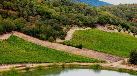 Food: Are you Harvest Experienced?