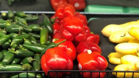 Verify: Yes, red and green bell peppers come from the same plant