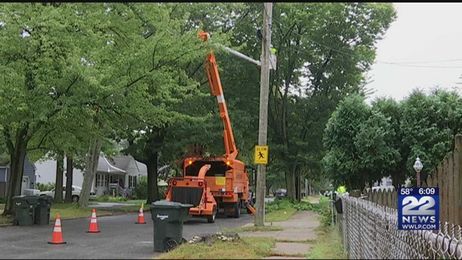Eversource tree maintenance to help lessen weather impacts