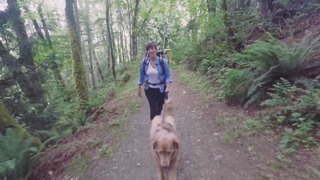 Don't forget Fido: Protecting your pets from mosquitoes invading Carolinas