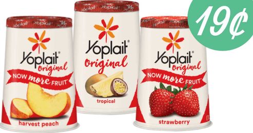 Makes Yogurt 19¢ Each