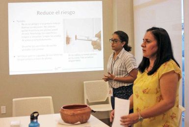 Home inspections help ID risks to child health