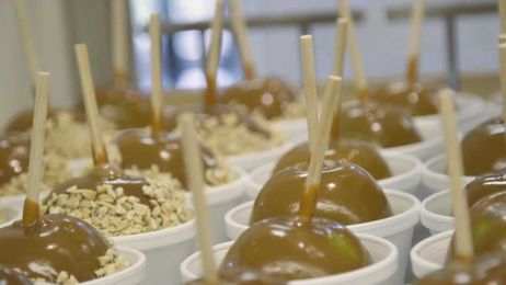 How to make the best of the season in Apple Hill, starting with getting there