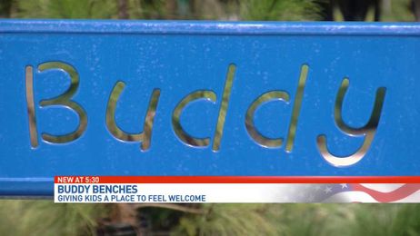How Buddy Benches fight loneliness in parks, school playgrounds