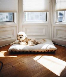 How to Balance Energy Efficiency With Design