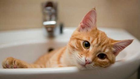 10 Really Easy Ways to Unclog Drains