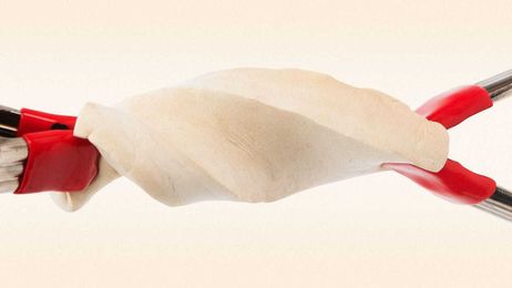 Can mushrooms be the platform we build the future on?