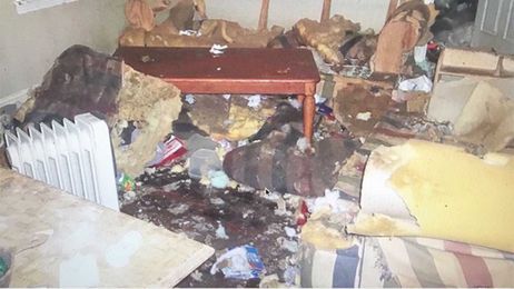 Rescuers can suffer side effects from saving animals