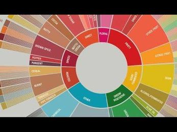 Identifying Flavours in Brewed Coffee
